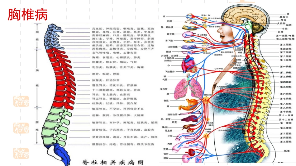 胸椎病诊疗和治疗_第3页