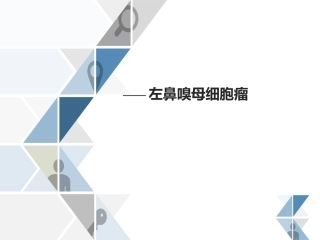 嗅神经母细胞瘤护理