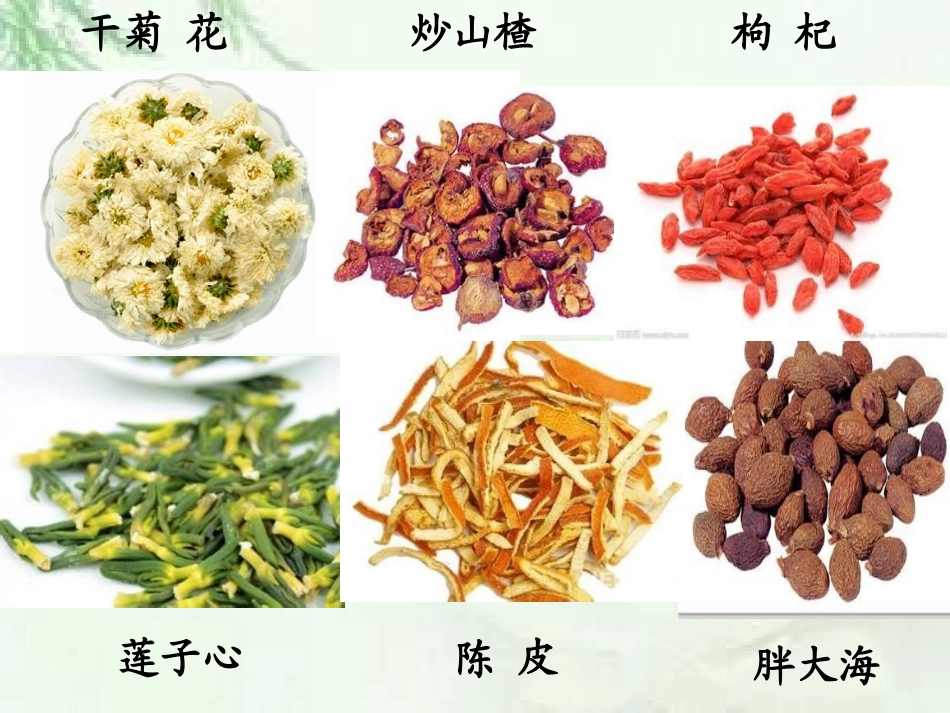 学前幼儿园神奇的中草药教学课件设计_第2页