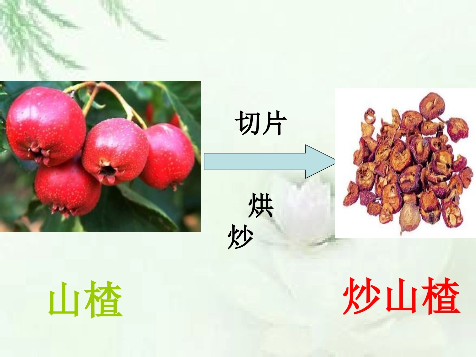 学前幼儿园神奇的中草药教学课件设计_第3页