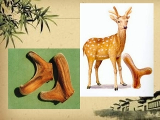 学前幼儿园神奇的中草药教学课件设计