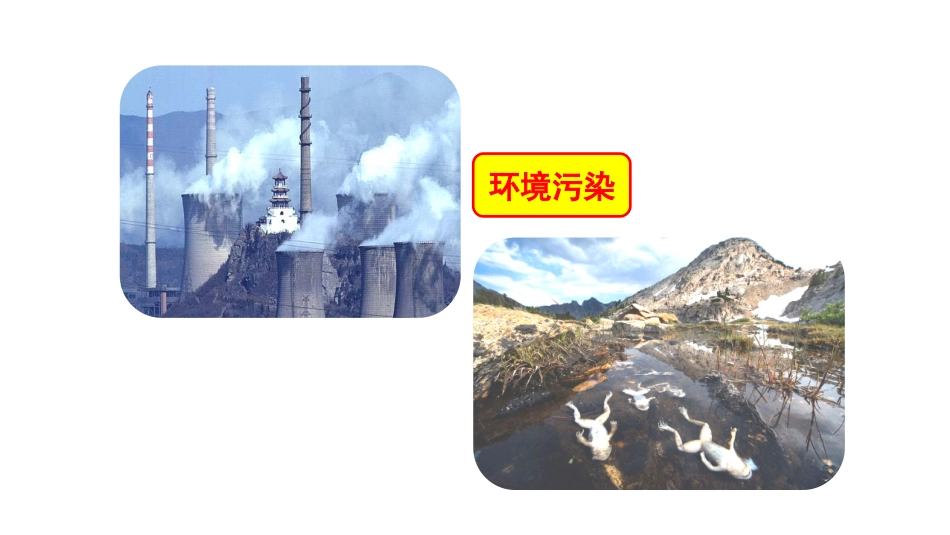 学写倡议书课件_第2页