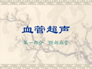 血管超声检查方法