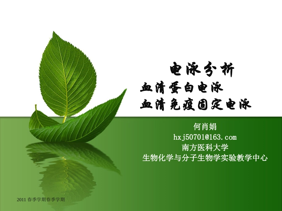 血清蛋白电泳_第1页