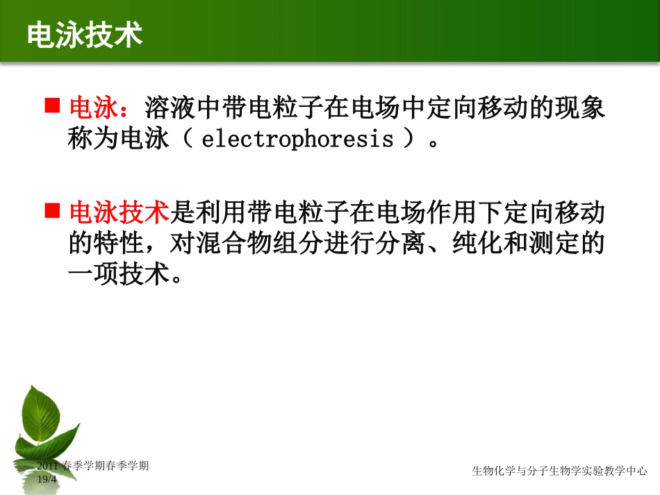 血清蛋白电泳_第2页