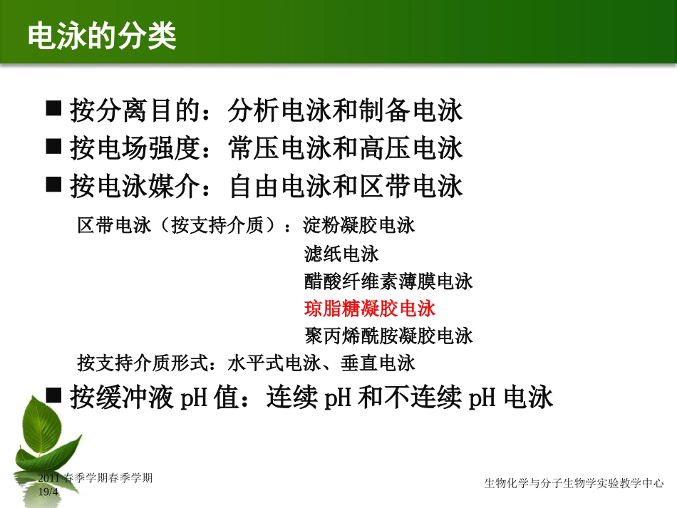 血清蛋白电泳_第3页