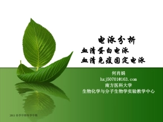 血清蛋白电泳