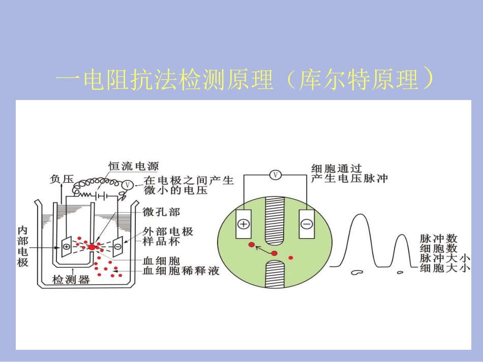 血细胞分析仪检测原理_第2页