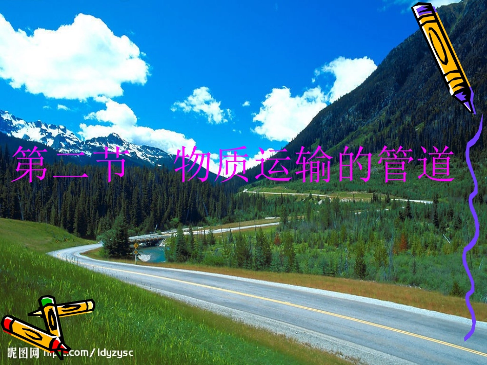 血液流动的管道血管_第1页