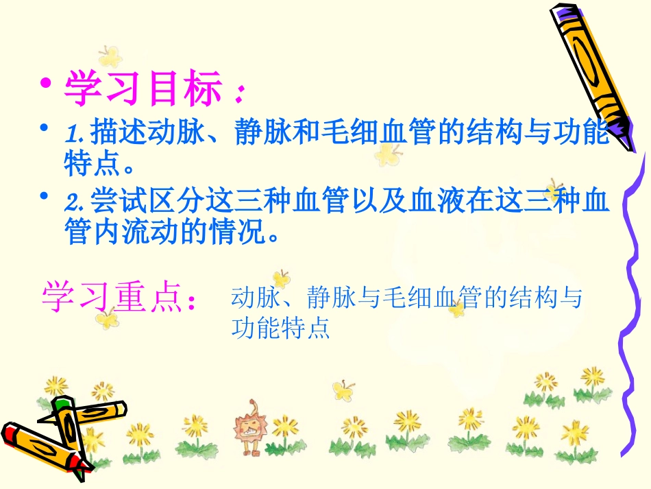 血液流动的管道血管_第2页