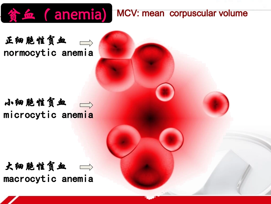 血液学课件巨幼细胞贫血_第2页