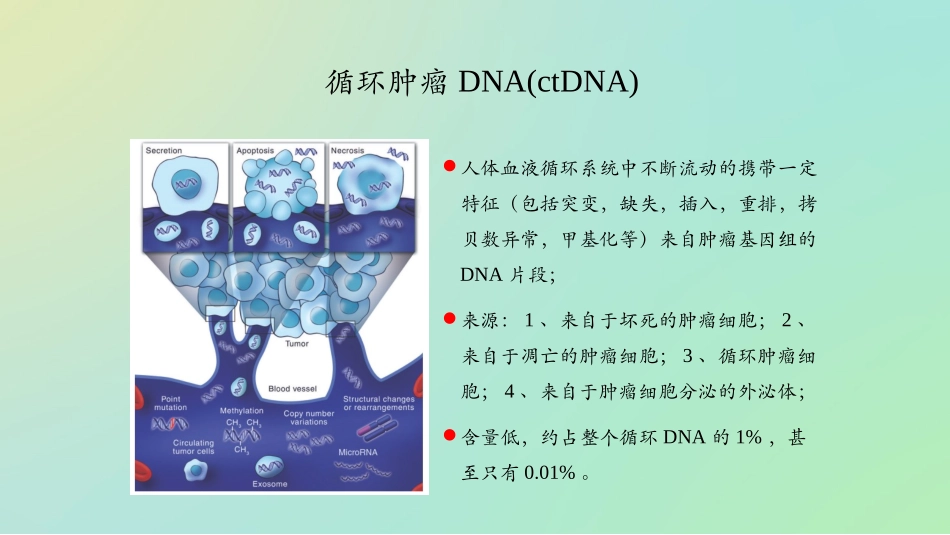 循环肿瘤DNA意义课件_第3页