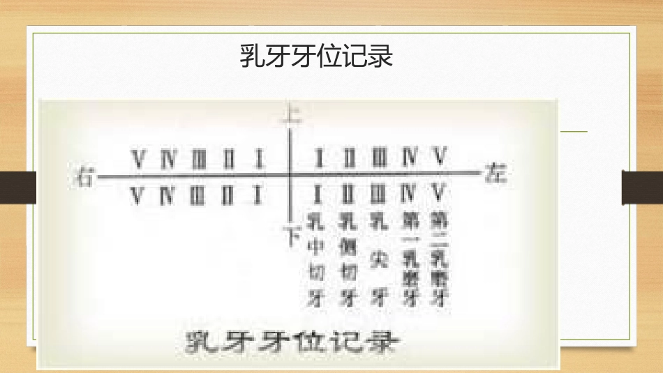 牙齿的形态乳牙_第3页