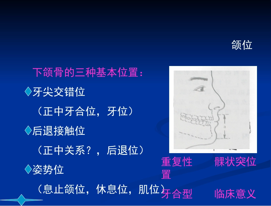 牙列牙合和颌位颌位_第3页