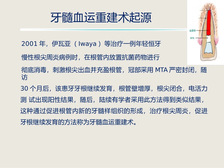 牙髓血运重建术临床应用及护理新_第2页