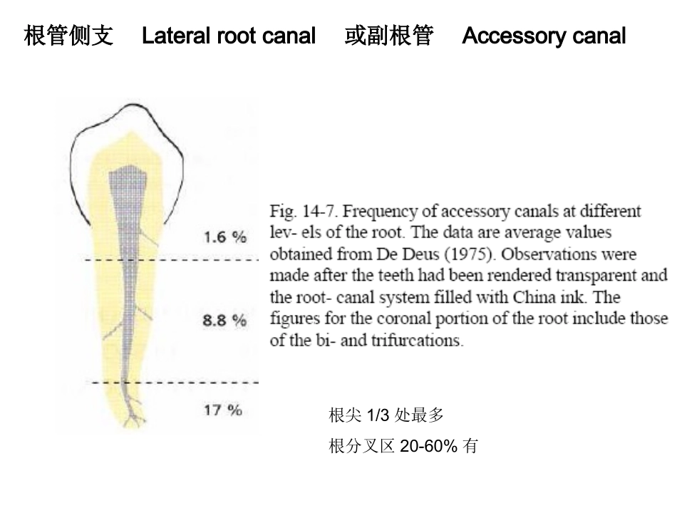 牙周牙髓联合病变_第2页