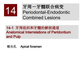 牙周牙髓联合病变
