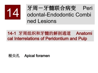 牙周牙髓联合病变课件