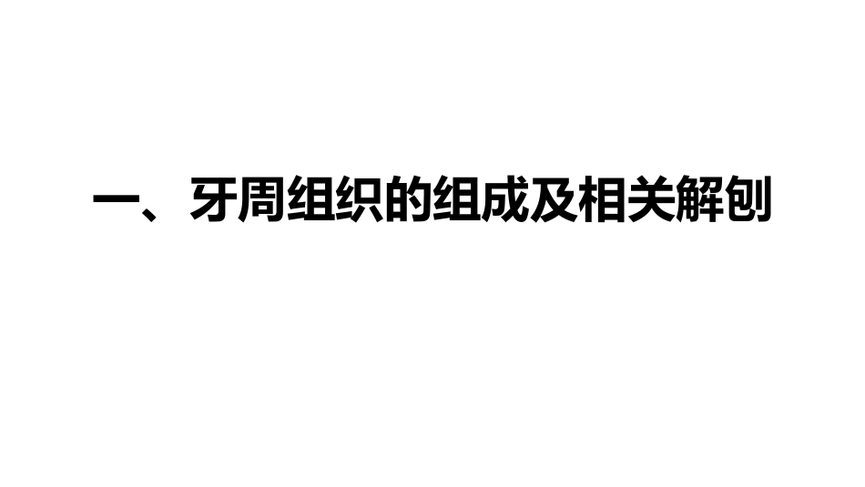 牙周组织的组成及相关解刨_第2页