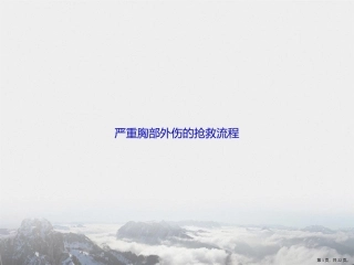严重胸部外伤的抢救流程讲课文档