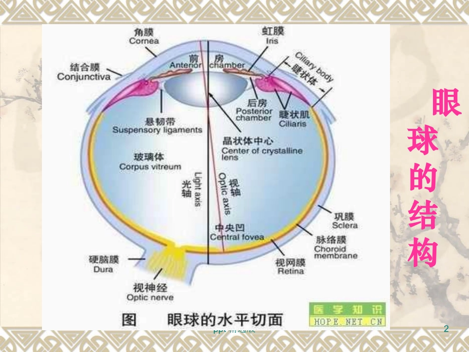 眼屈光基础知识课件_第2页