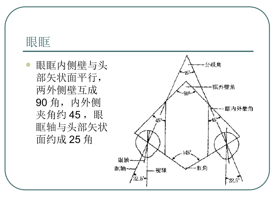 眼外肌解剖解读_第2页