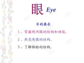 眼组织学和胚胎学课件