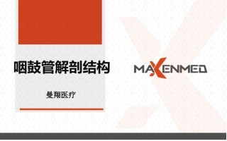 咽鼓管基础知识精讲