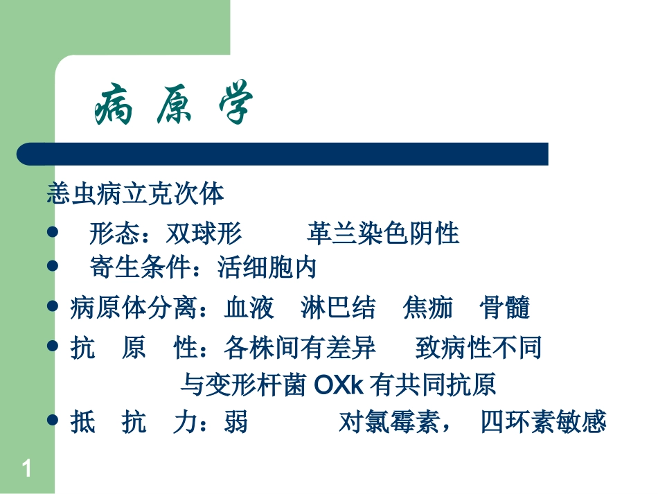 恙虫病 课件_第1页