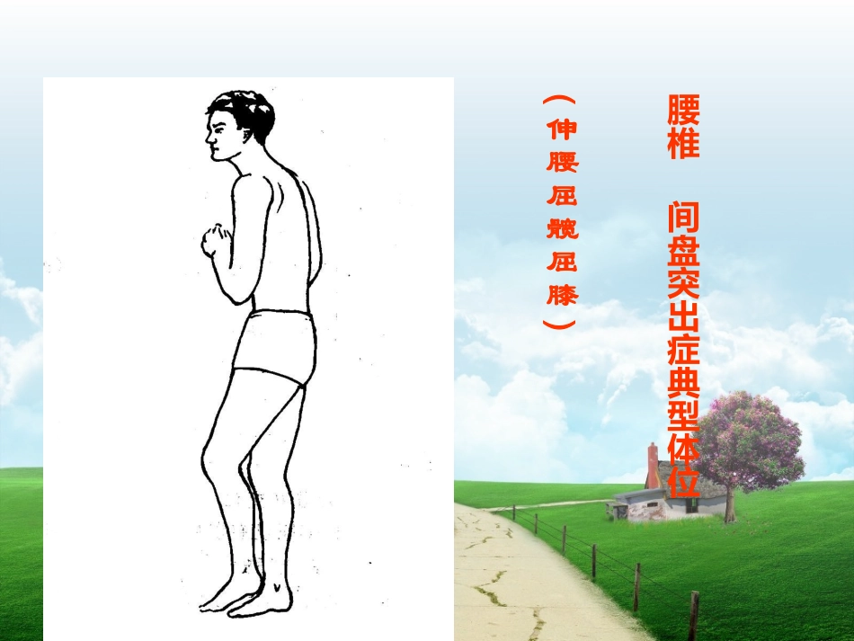 腰椎查体课件_第3页