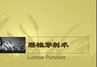 腰椎穿刺术课件