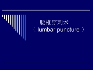 腰椎穿刺术资料
