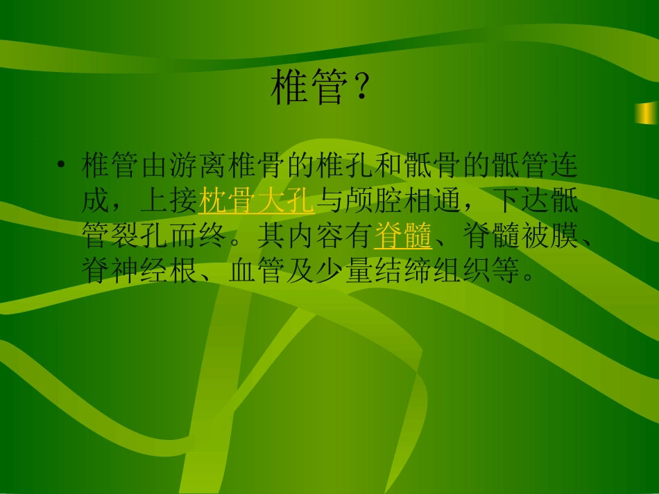 腰椎管狭窄症分析_第2页