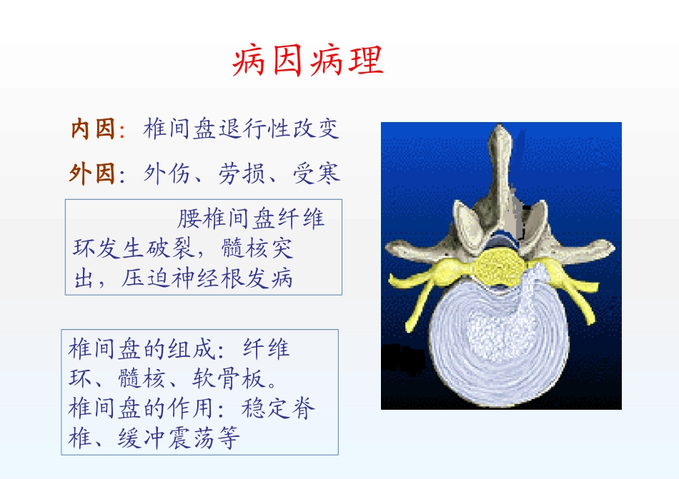 腰椎间盘突出症的诊治_第3页