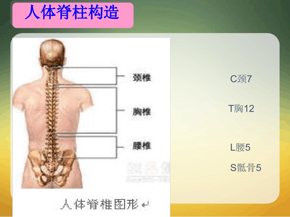 腰椎间盘突出症护理最新课件_第3页