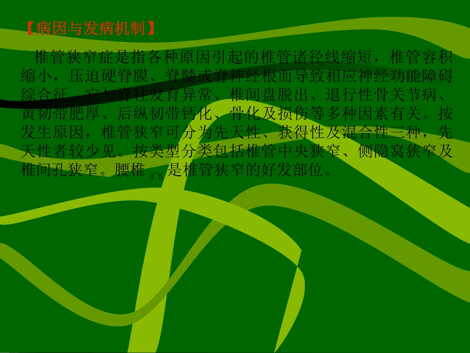 腰椎椎管狭窄症_第3页