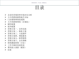 药房大中药项目市场营销方案
