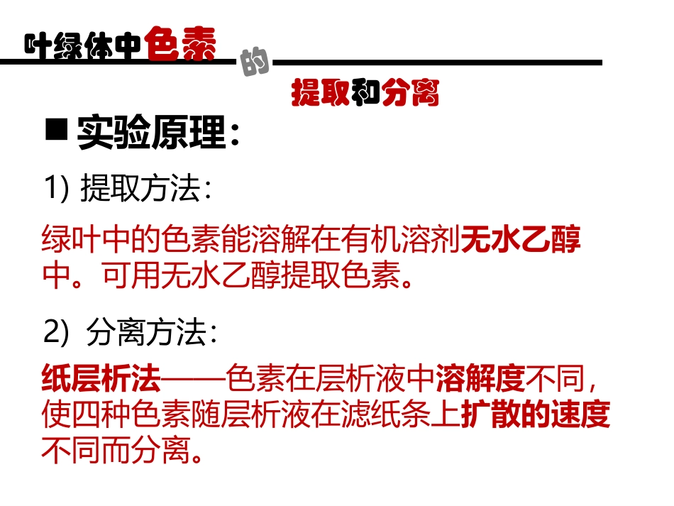 叶绿体中色素的提取与分离_第3页