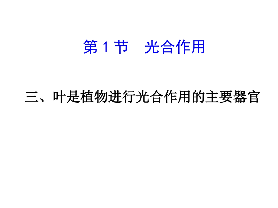 叶是植物进行光合作用的主要器官_第1页