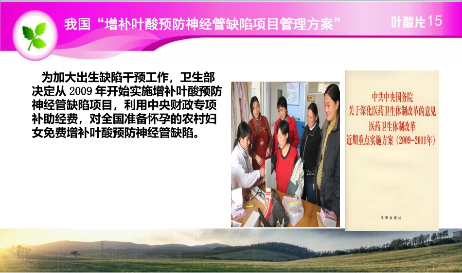 叶酸医学知识课件_第2页