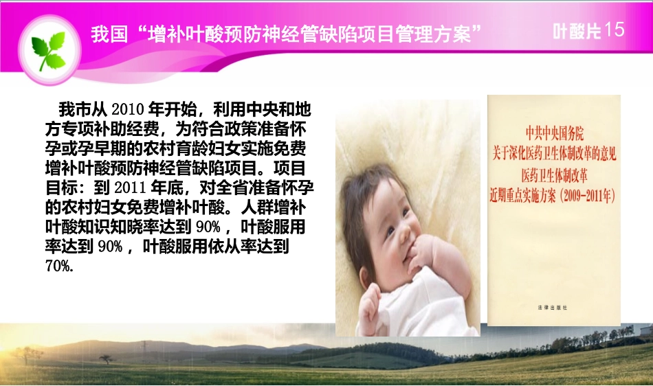 叶酸医学知识课件_第3页