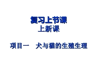 一单元雄犬雄猫的生殖器官