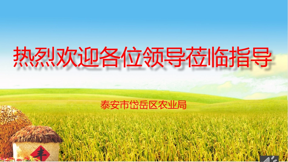 一二三产业融合发展第三次汇报_第1页
