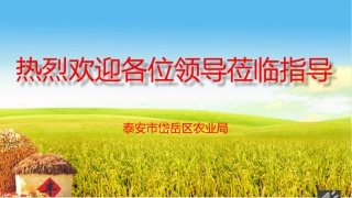 一二三产业融合发展第三次汇报