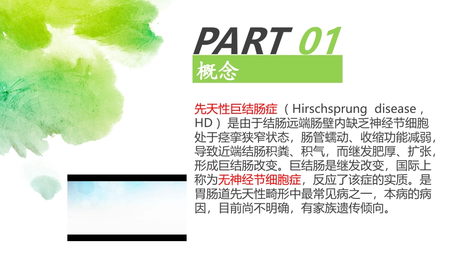一例先天性巨结肠患儿的护理查房医学课件_第2页