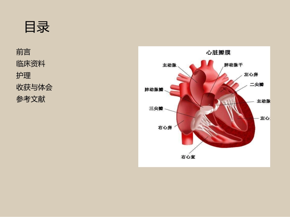 一例主动脉瓣置换术患者护理_第2页
