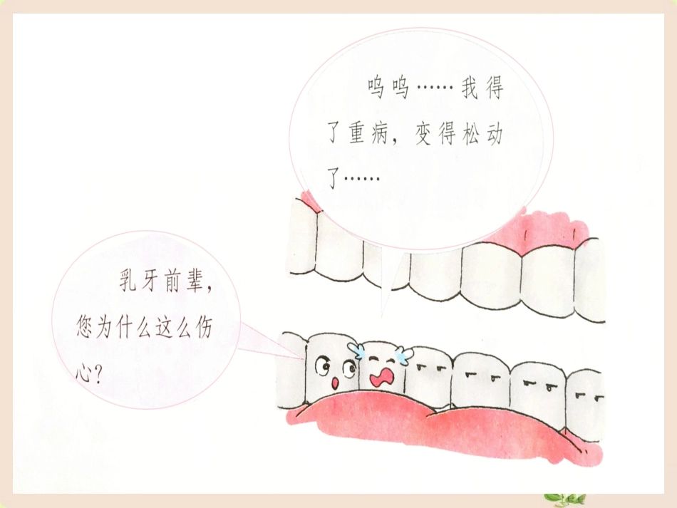 一年级下册健康教育课新牙乳牙大换班_第3页