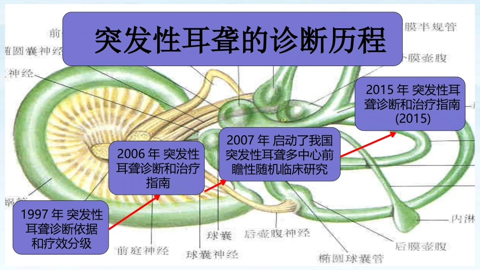 一文读懂突发性耳聋的诊疗和治疗_第2页