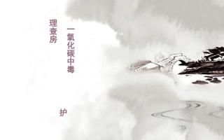 一氧化碳中毒护理查房课件