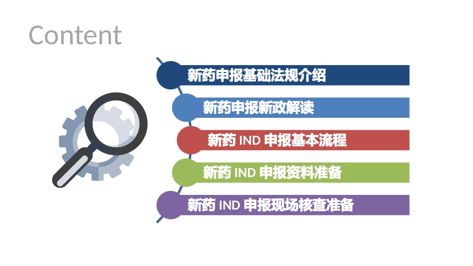 一致性评价现场检查关注的问题_第2页